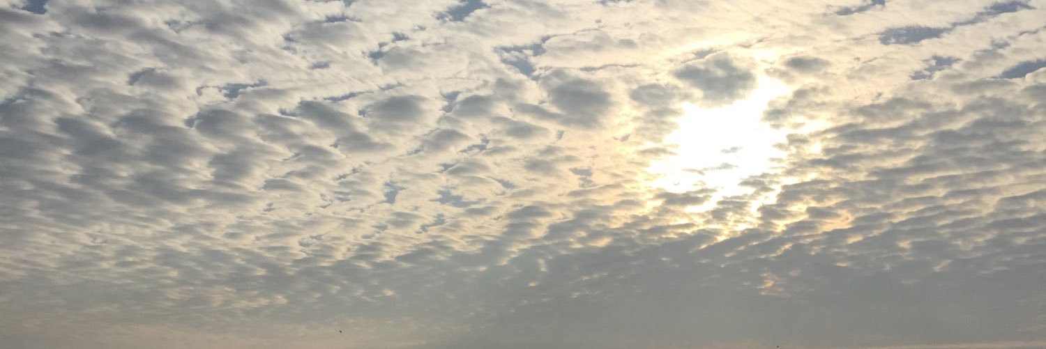 h_lfw6's profile banner image