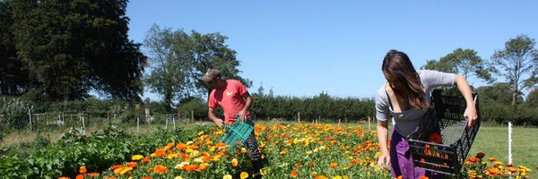 Lyonsleaf Profile Banner