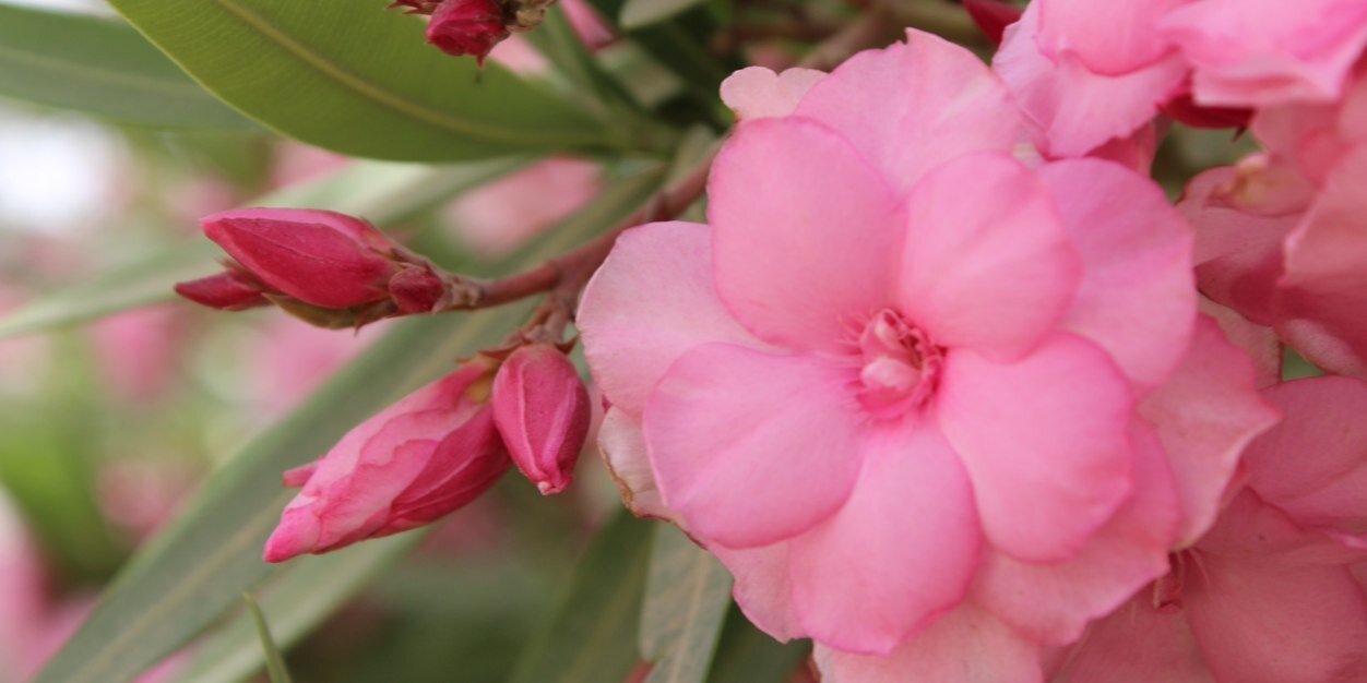Om3li1433's profile banner image