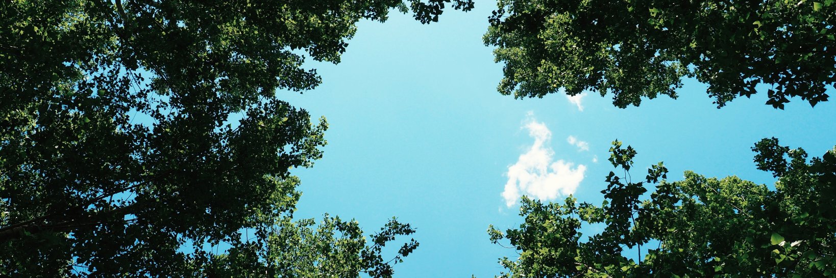 centurionbrands's profile banner image
