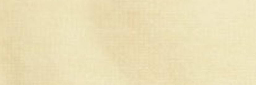 sarebosch's profile banner image
