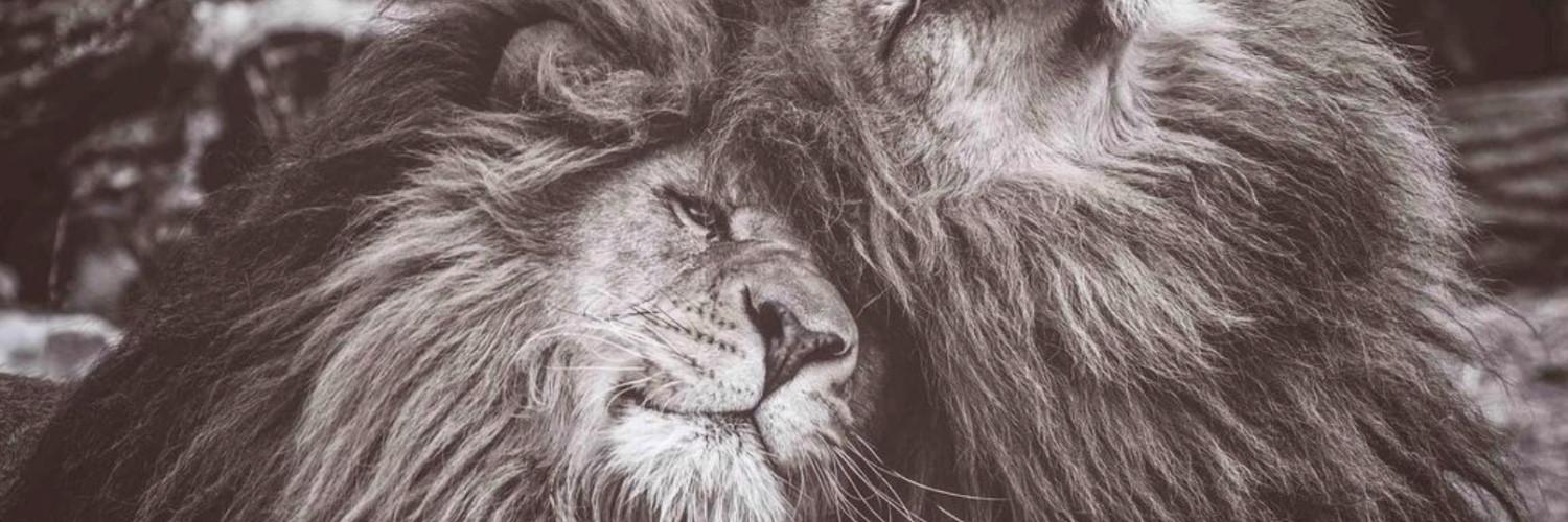 AlphaDaddy84's profile banner image