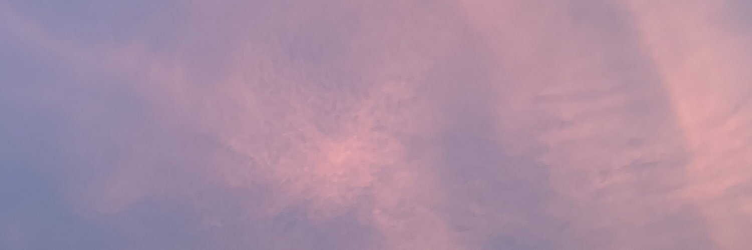udldpssn's profile banner image