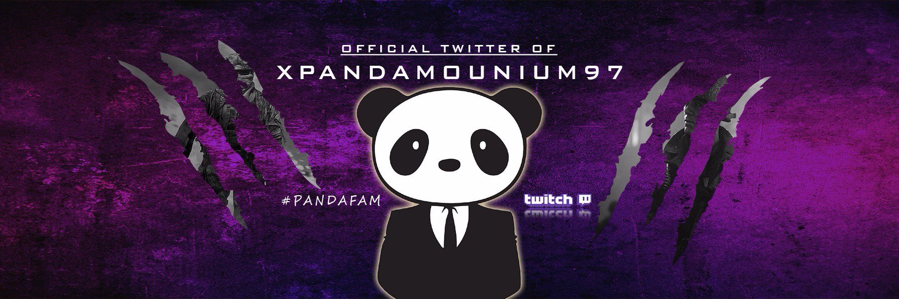 xPandamonium's profile banner image