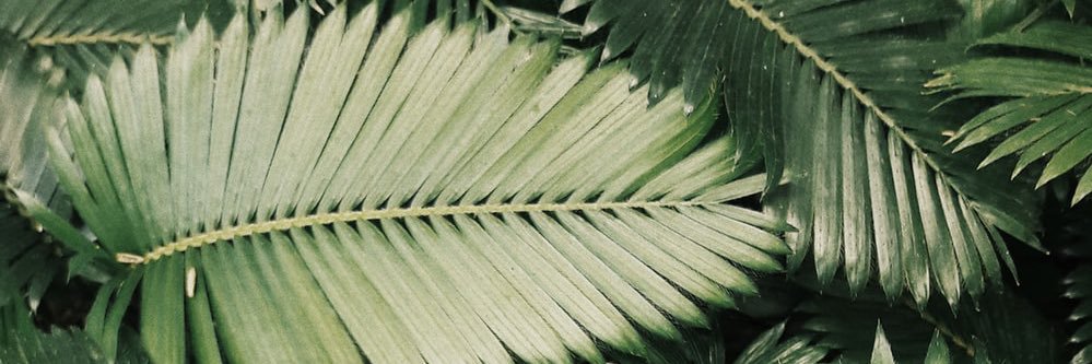 alliepierce15's profile banner image