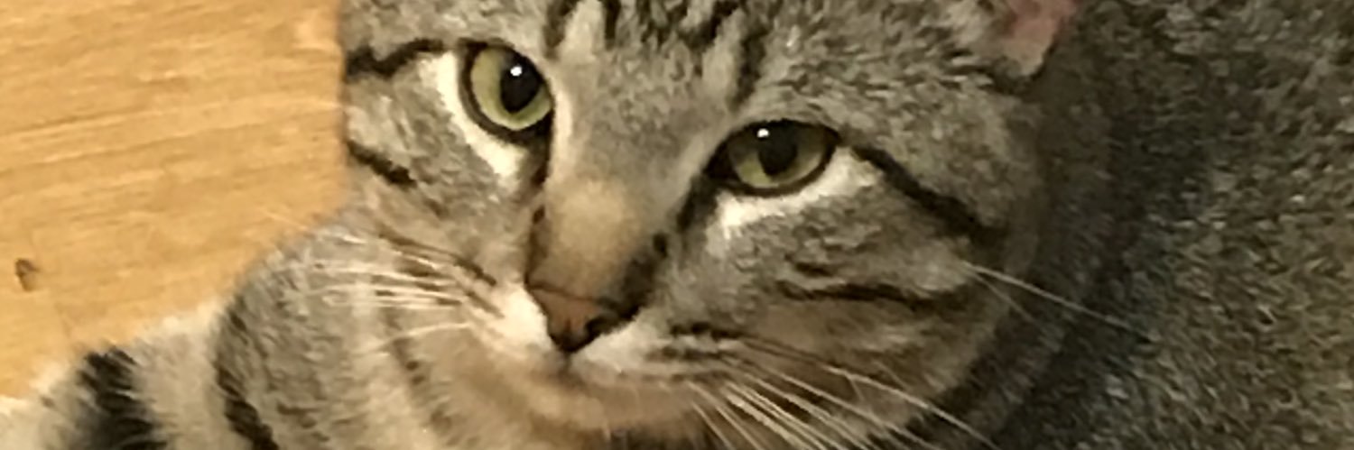 NathanJohnson65's profile banner image