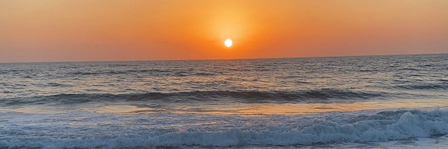 fedenanni1's profile banner image