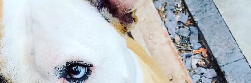 Meghann93's profile banner image