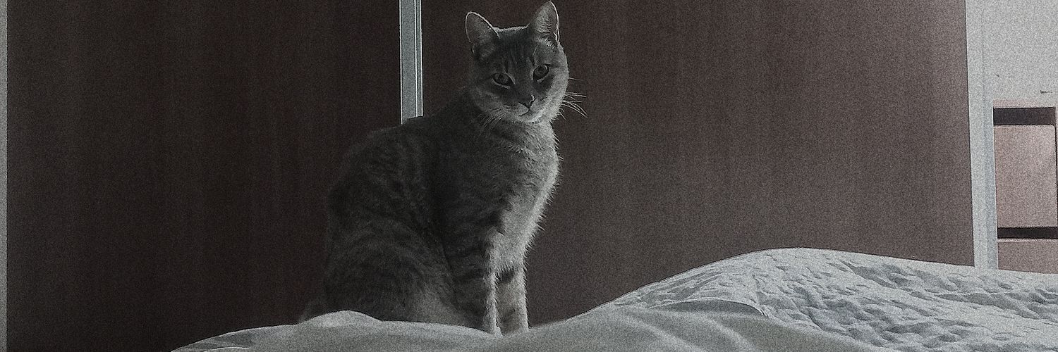 TomasPlanisg's profile banner image