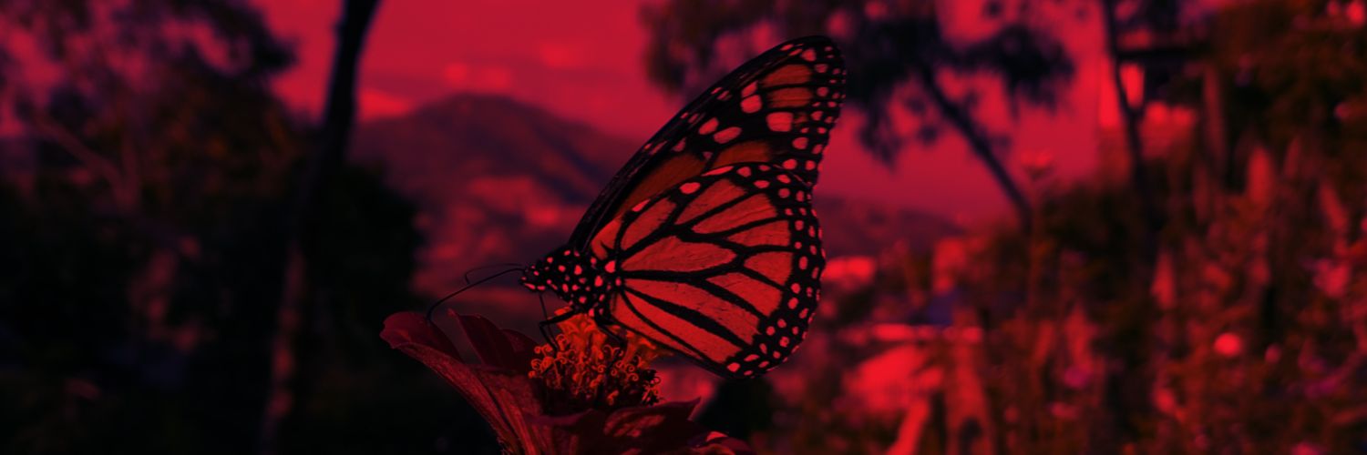 morphoazull's profile banner image