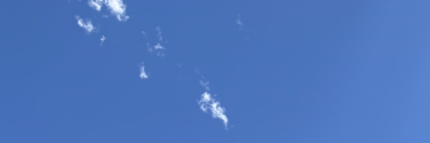 11inoring's profile banner image