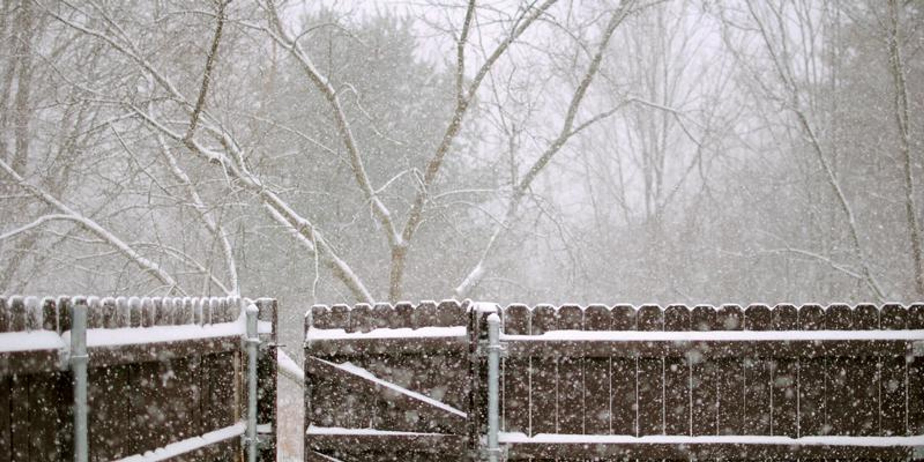 HollyCasner's profile banner image