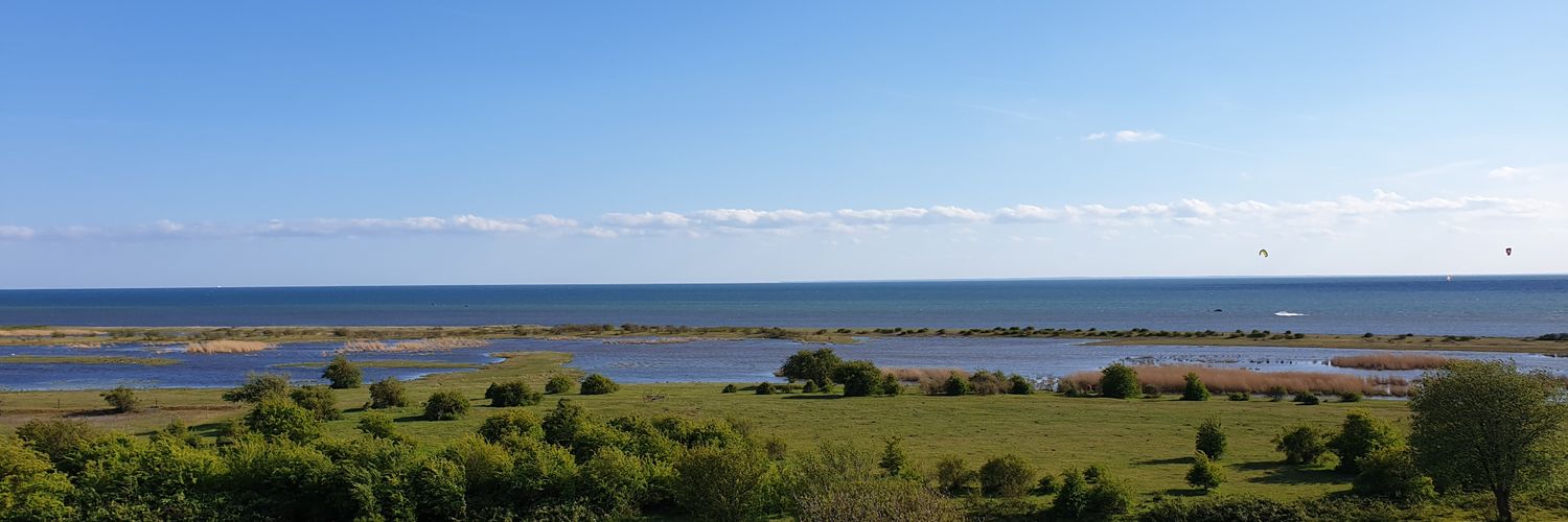 pfjelstad's profile banner image