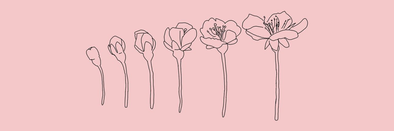 nmenemy's profile banner image