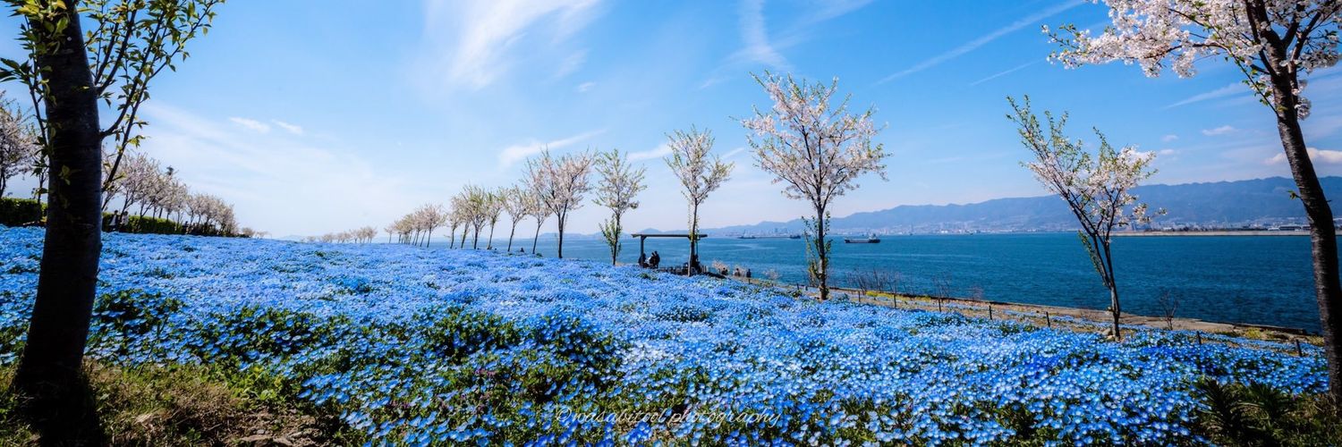 tm_ss329's profile banner image