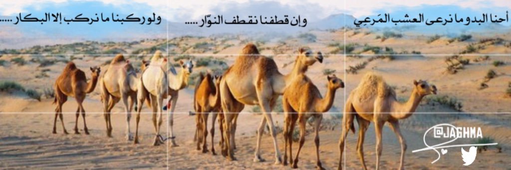Jaghma's profile banner image