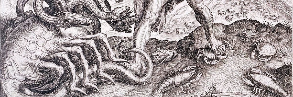 Diacriticon's profile banner image
