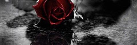 _R_____x__'s profile banner image