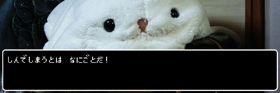 cuau1998's profile banner image