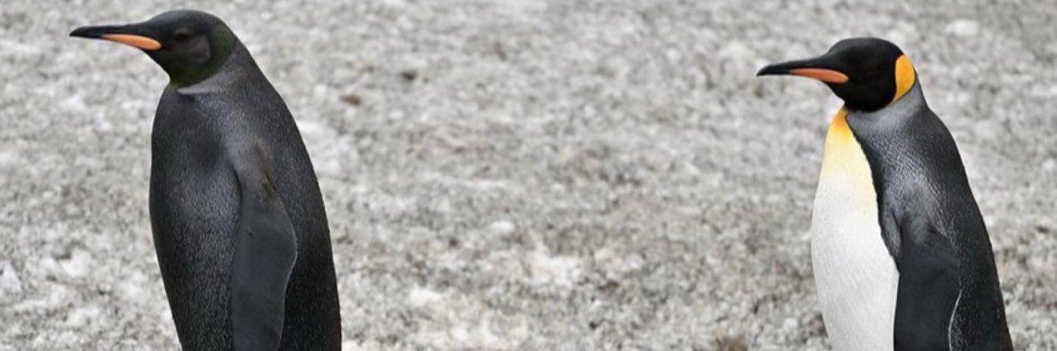 Austin_payne3's profile banner image