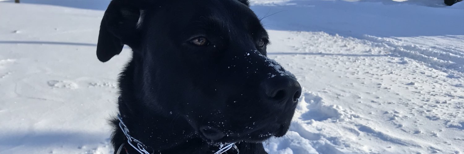 Gurv33r's profile banner image