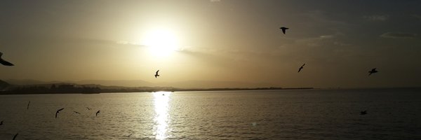 eulgun Profile Banner