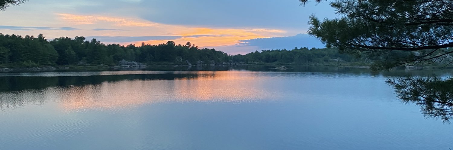 willyyy333's profile banner image