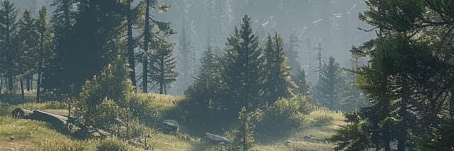 WokeGroundhog's profile banner image