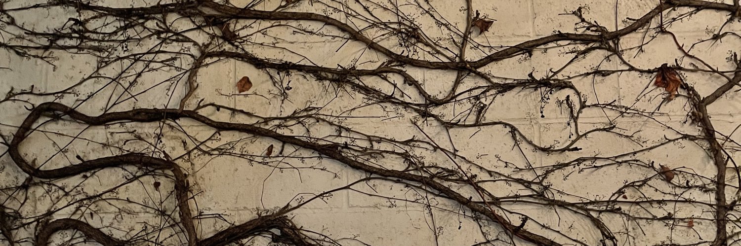 BenjaminVerdoes's profile banner image