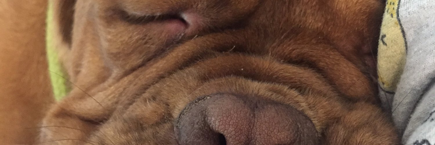 Justircc's profile banner image