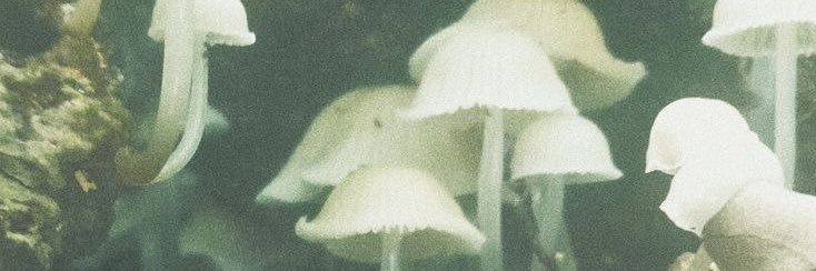 abrilhernandezz's profile banner image