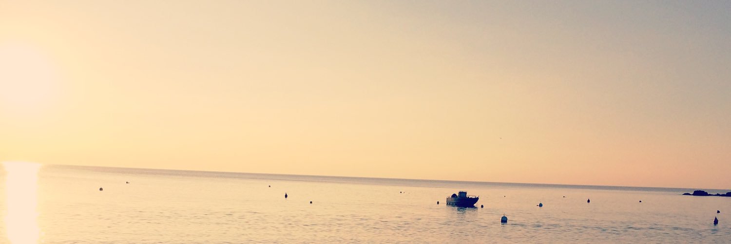 Mathieu Rouault banner