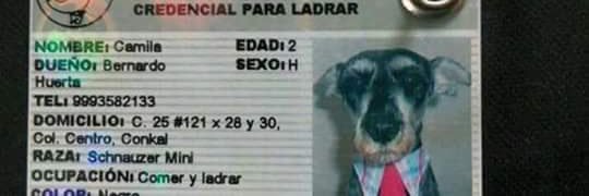 oscar torres vazquez banner