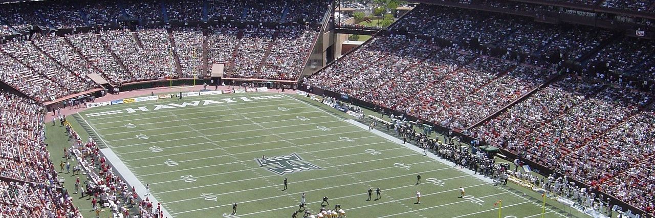 Hawai`i Warriors banner