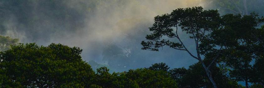 Live Less Ordinary banner