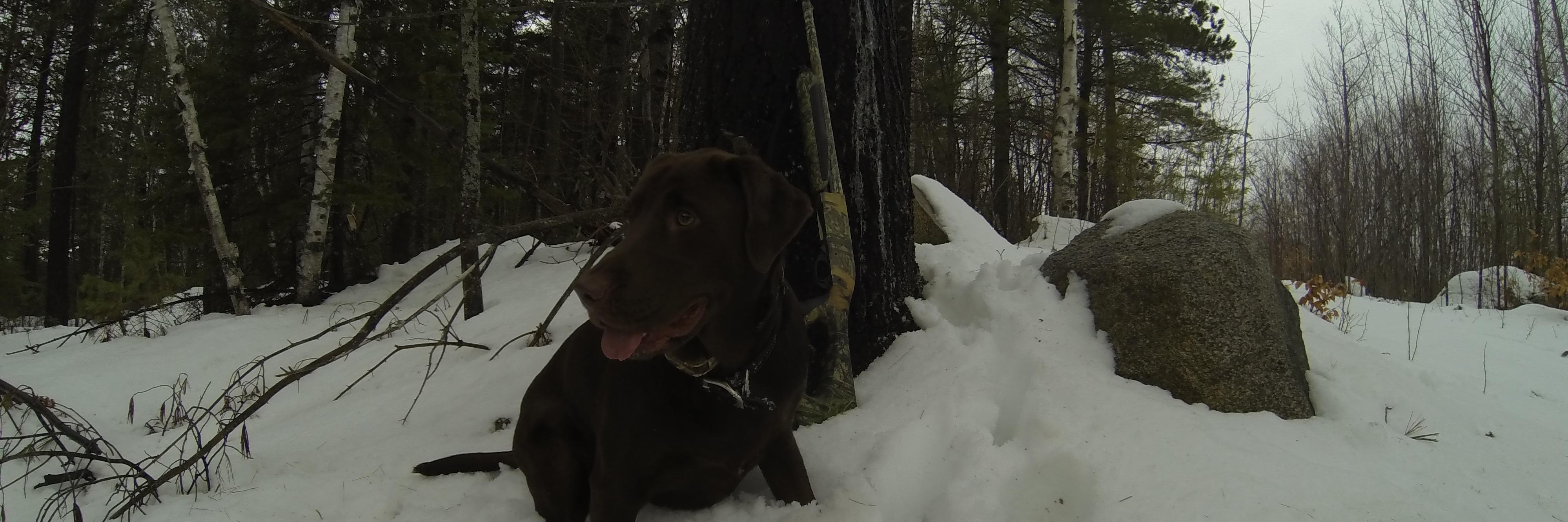 Coopbro's profile banner image