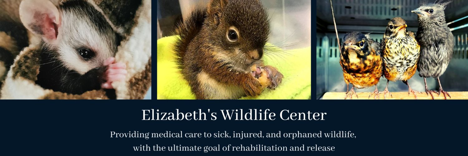 EWC_Wildlife's profile banner image