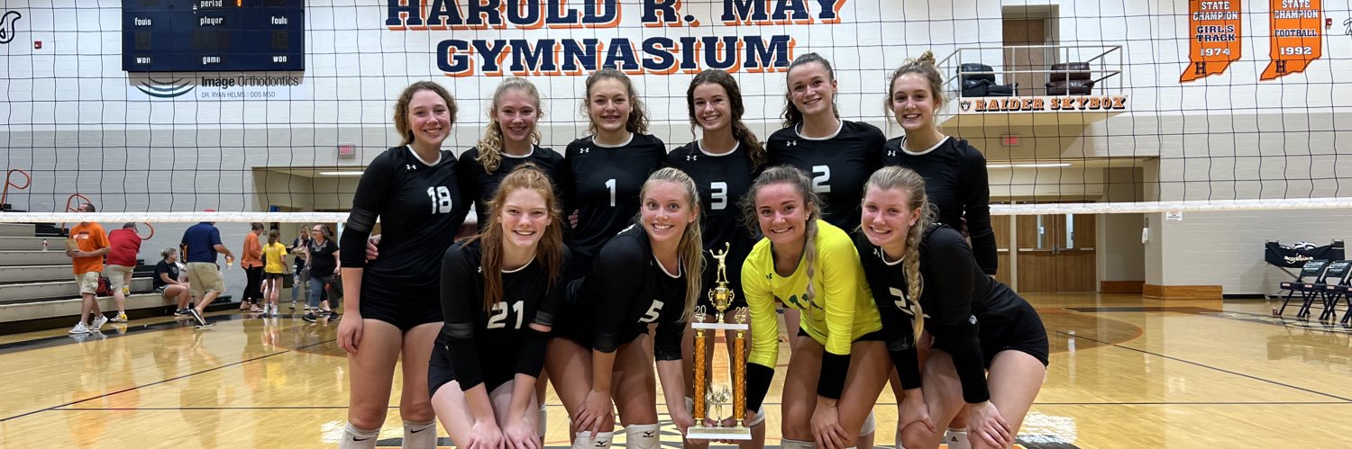 Bison Volleyball banner