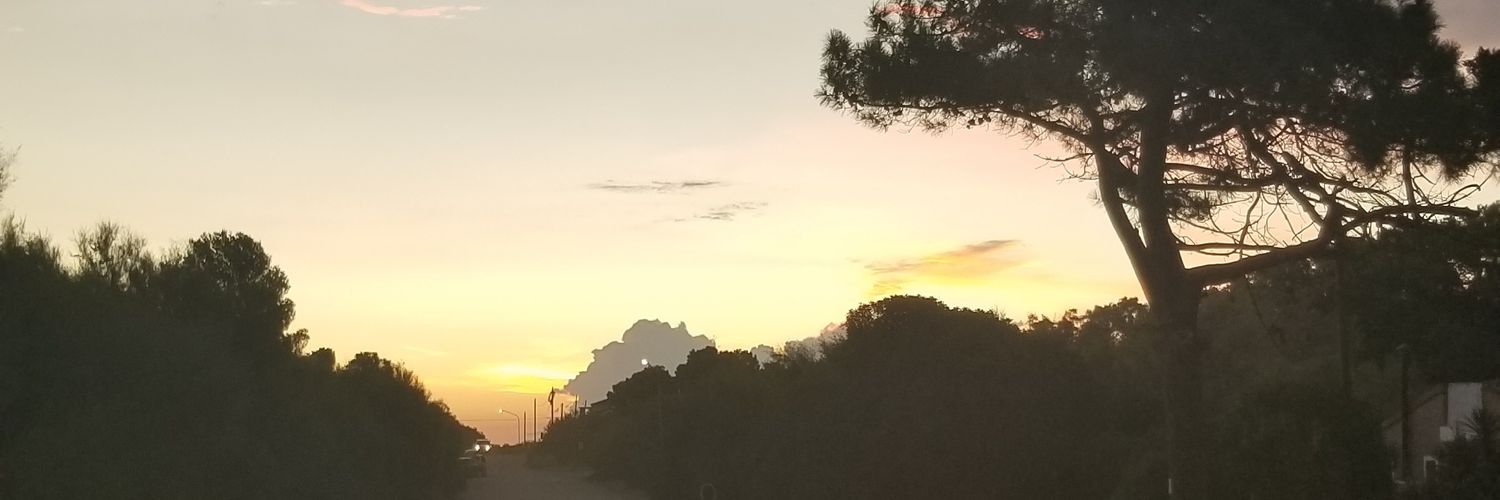 sofiaheredia3's profile banner image