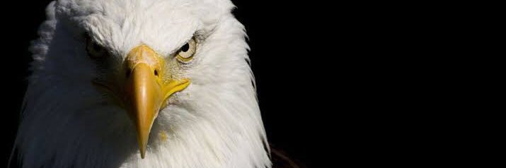 Vandersonbmonte's profile banner image