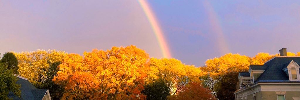 erika_wolfe's profile banner image