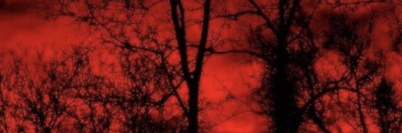 _TheRealVt's profile banner image