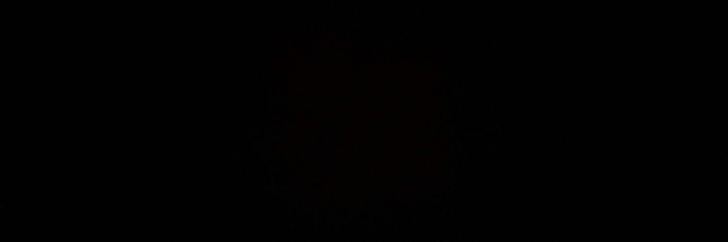 lufrauches's profile banner image
