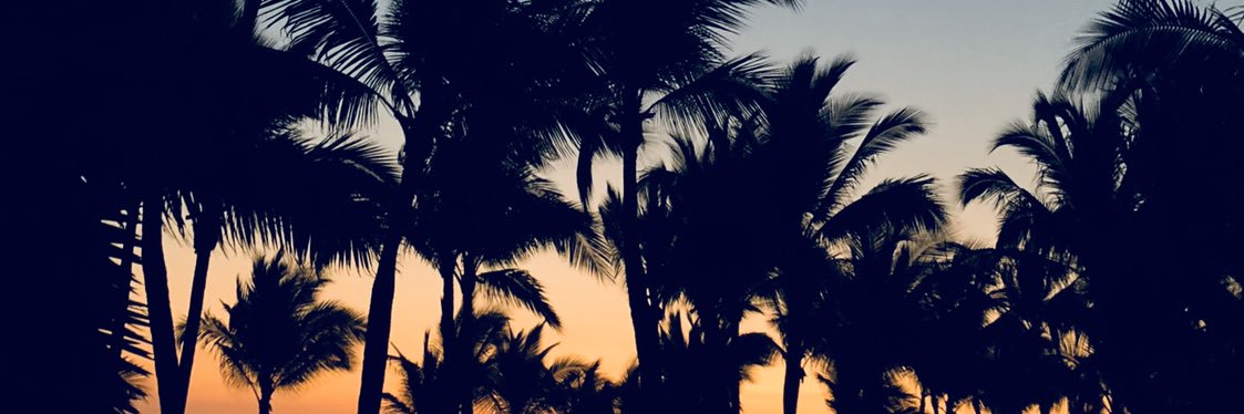 tia6o_'s profile banner image