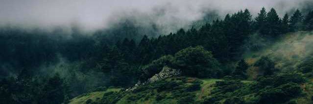 _Cadore's profile banner image