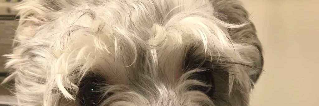 ClikaMP's profile banner image