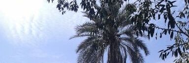Btaal2's profile banner image