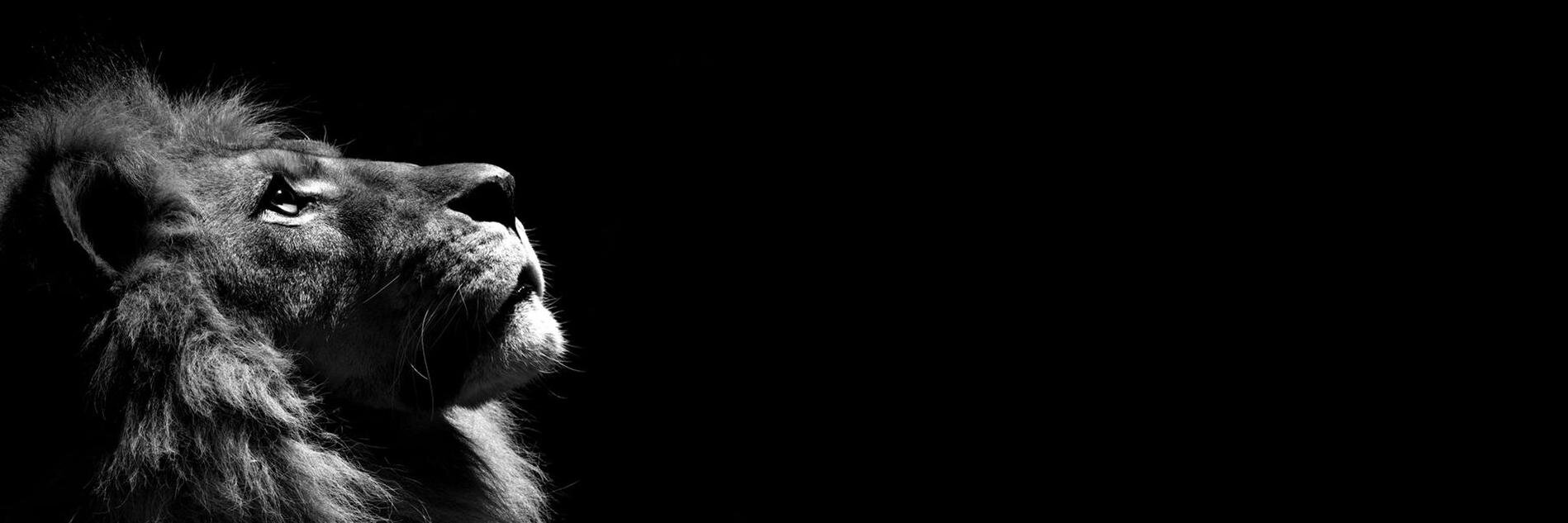 DougVanOost's profile banner image