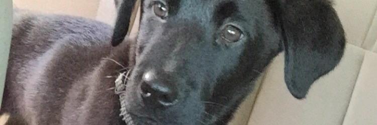 Oh_Em_Bee's profile banner image