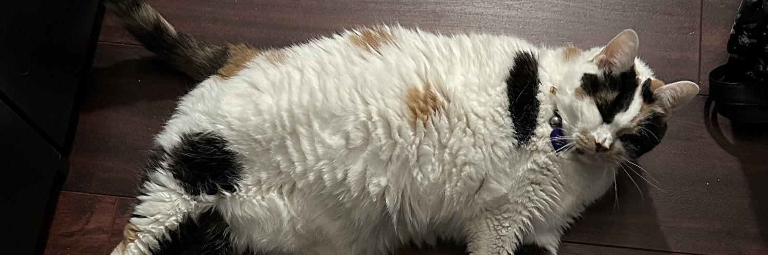SabrinaToth's profile banner image